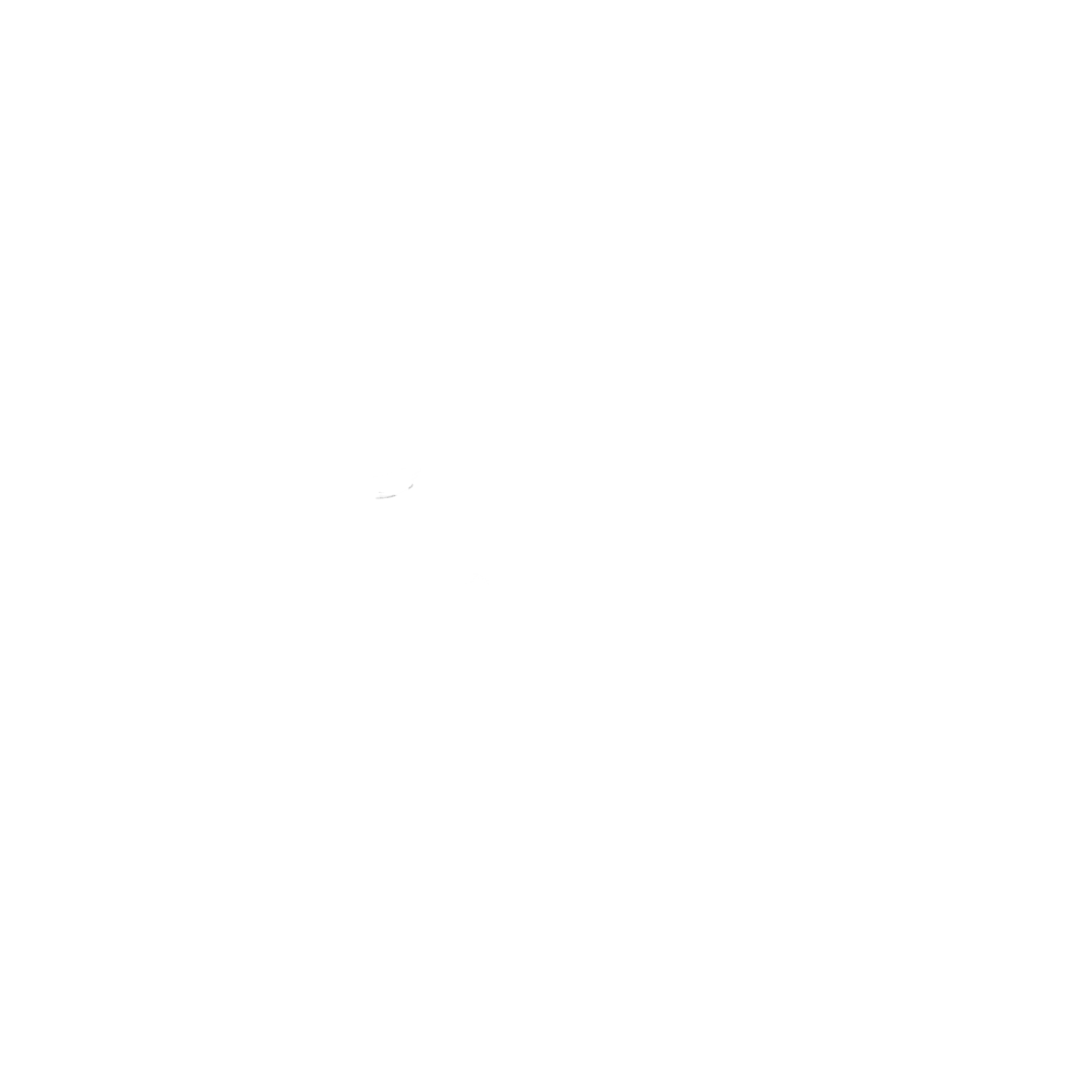Barred spiral galaxy, outer space stars